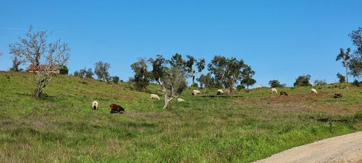 Land in Comporta, Alcácer do Sal