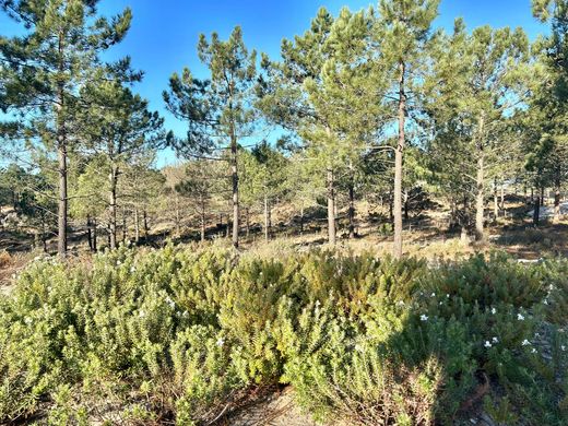 Grundstück in Comporta, Alcácer do Sal