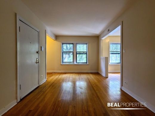 Apartment in Chicago, Cook County
