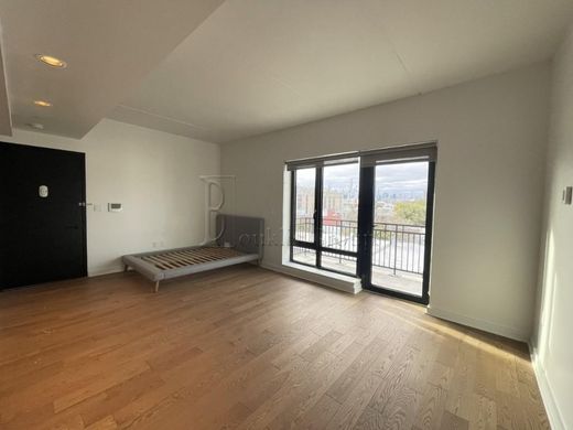 Apartment / Etagenwohnung in Queensbridge Houses, Queens County