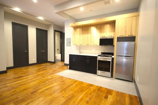 Apartment / Etagenwohnung in Brooklyn, Kings County