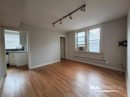 Appartement in Chicago, Cook County