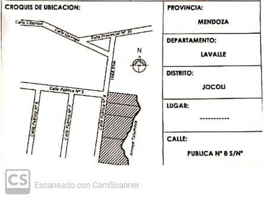 Land in Jocolí, Departamento de Las Heras