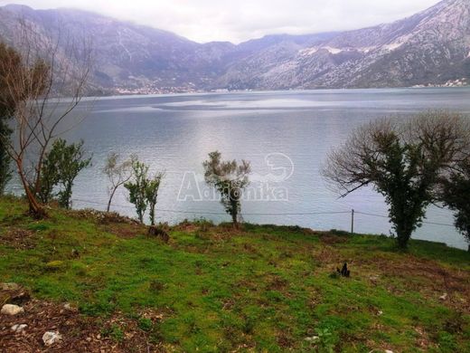 Terrain à Kotor