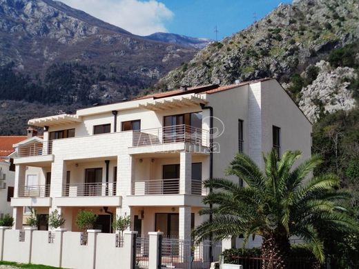 Albergo a Cattaro, Kotor