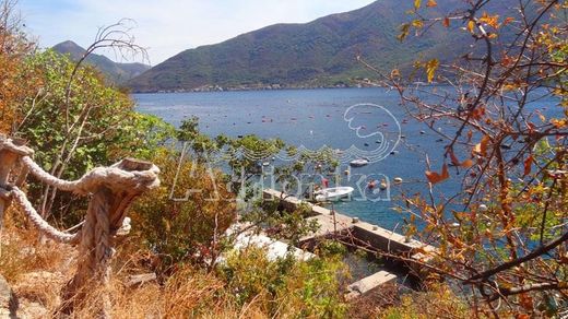 Land in Kotor