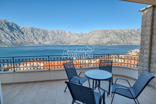 Apartment in Kotor