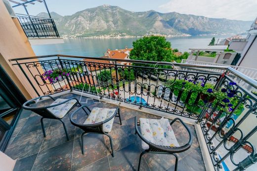 Apartment in Kotor