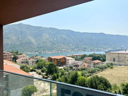 Apartment in Kotor