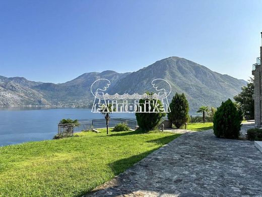 Apartment in Kotor