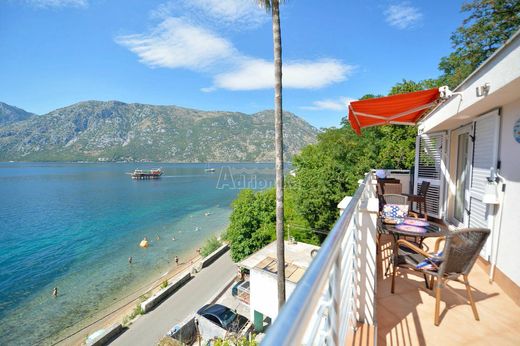 Apartment in Kotor
