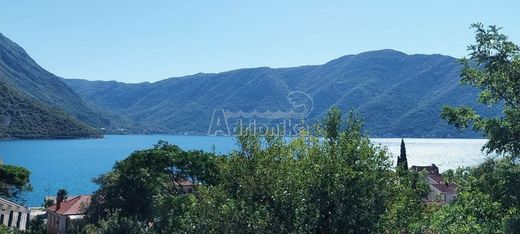 套间/公寓  Kotor