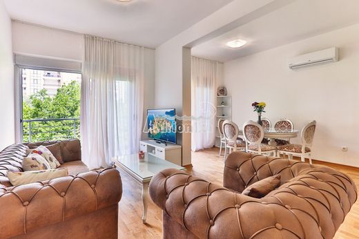 Apartment / Etagenwohnung in Budva