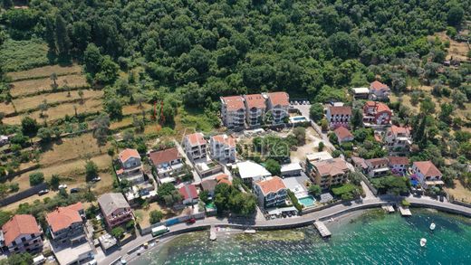 Terrain à Kotor