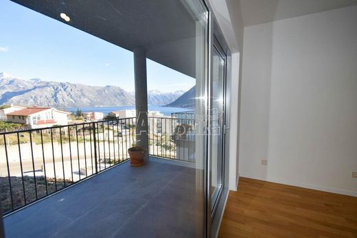 Apartment in Kotor
