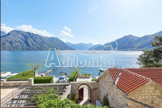 Arsa Kotor