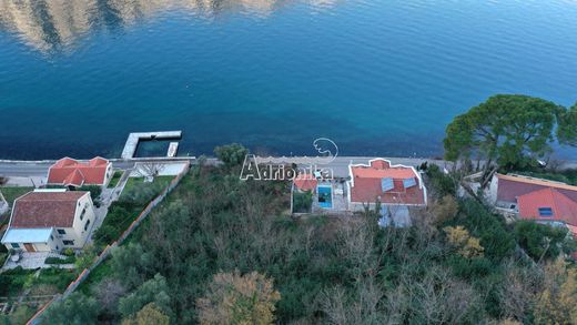 Arsa Kotor