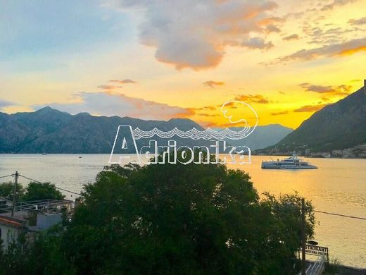Apartment in Kotor