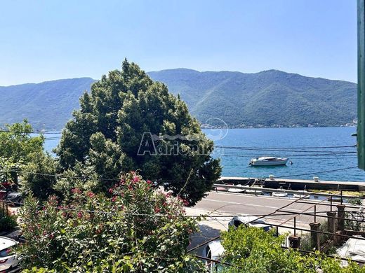 Detached House in Kotor