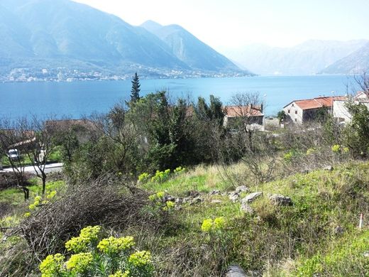 Land in Kotor
