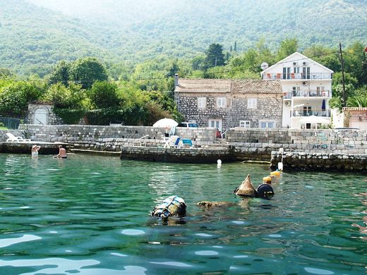 Albergo a Cattaro, Kotor