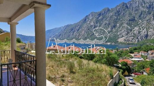 Apartment in Kotor