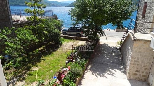 Appartement in Kotor