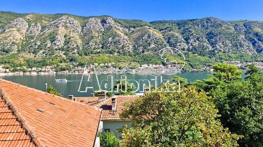 Apartament w Kotor