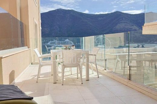 Apartment in Kotor
