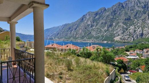 Apartment in Kotor