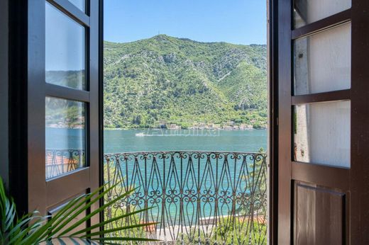 Apartment in Kotor