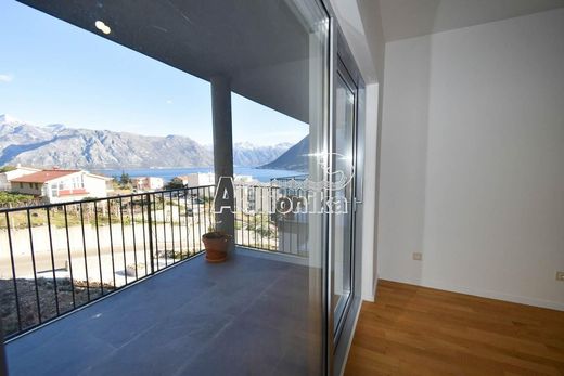 Apartment in Kotor