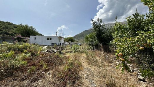 Участок, Бар, Bar