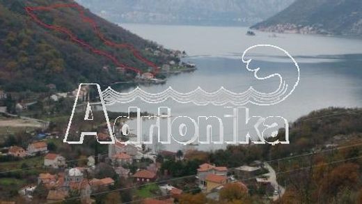 Arsa Kotor