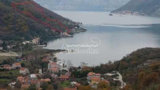 Terrain à Kotor