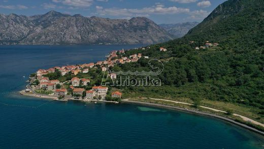 Terreno - Kotor