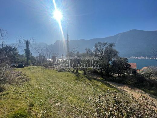 Terrain à Kotor
