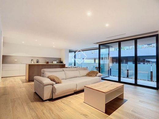 Apartment / Etagenwohnung in Escaldes-Engordany