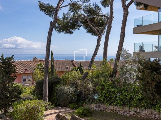 Daire Cas Català, Illes Balears