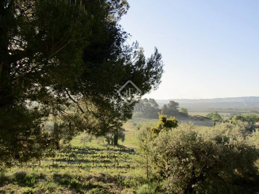 Αγροτεμάχιο σε Carpentras, Vaucluse