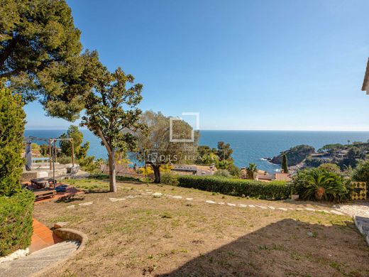 Land in Blanes, Province of Girona