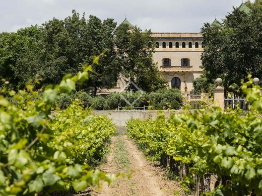 Palácio - Banyeres del Penedès, Província de Tarragona