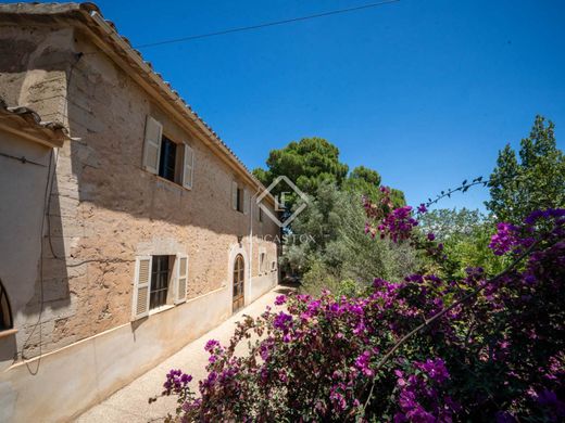 パルマ・デ・マリョルカ, Illes Balearsのカントリーハウス