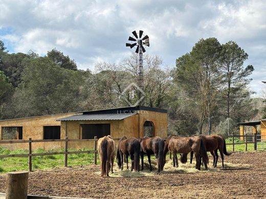 Sant Cugat del Vallès, ばるせろなの土地
