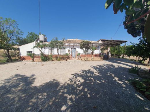 Country House in Pizarro, Malaga