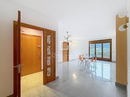 Apartment in La Massana