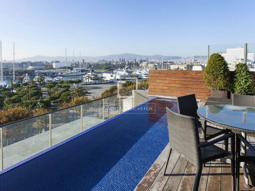 Penthouse in Barcelona, Province of Barcelona