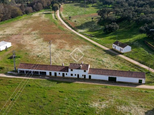 Casa de campo en Abrantes, Santarém