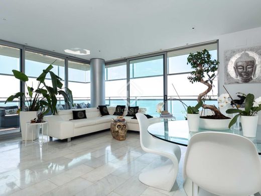 Apartment in Barcelona, Province of Barcelona