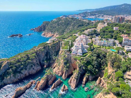 Daire Sant Feliu de Guíxols, Província de Girona